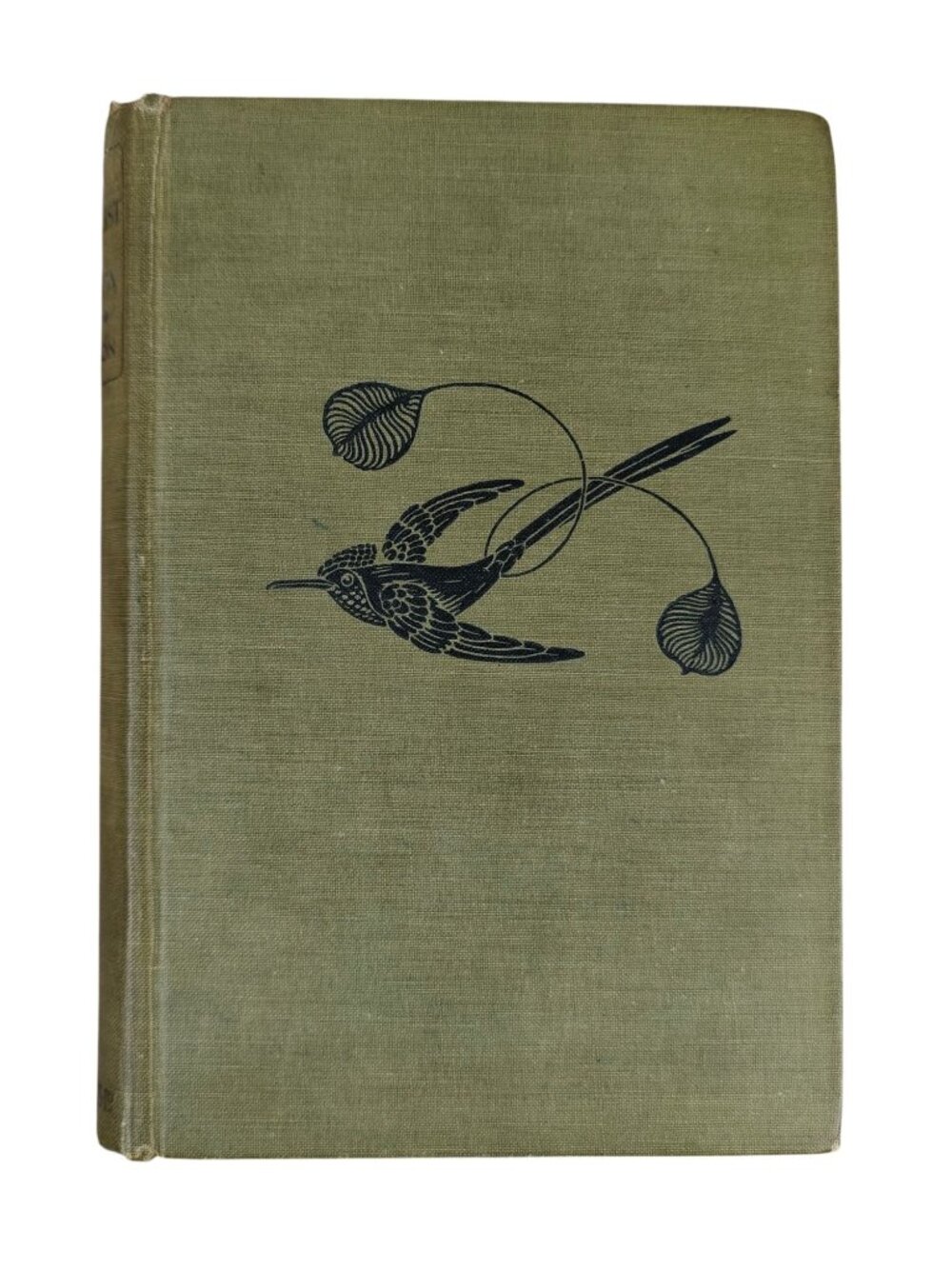 The Naturalist In La Plata W. H. Hudson Hardcover 1922 Sixth Edition Nature